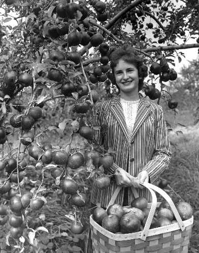 03-159 (click for large image)