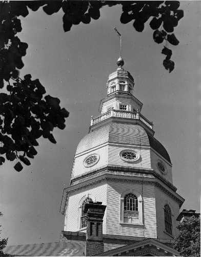 08-010 (click for large image)