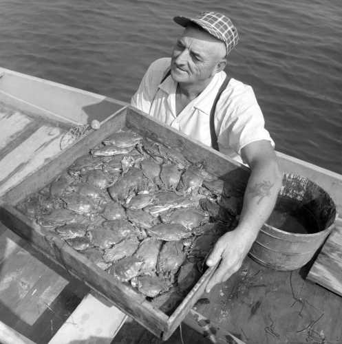 14-075 (click for large image)