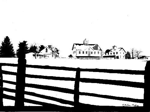 19-066 (click for large image)