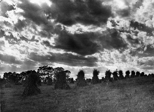 19-124 (click for large image)