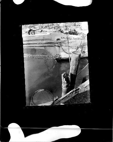 21-194 (click for large image)