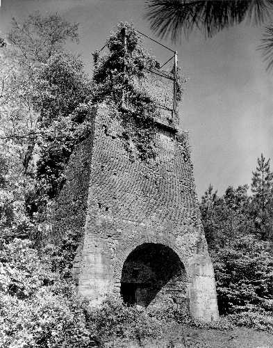 22-009 (click for large image)