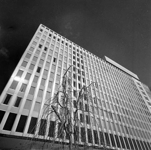 22-056 (click for large image)