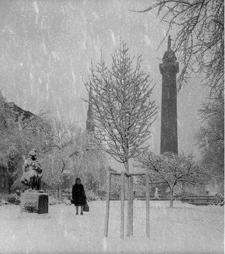 26-042 (click for large image)
