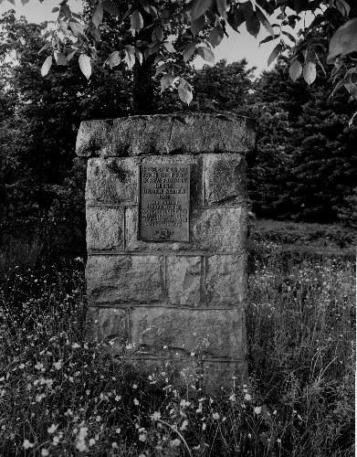 27-233 (click for large image)
