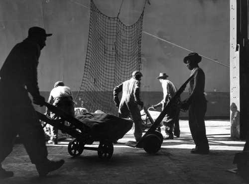 29-195 (click for large image)