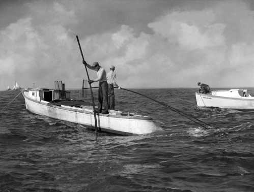 41-101 (click for large image)
