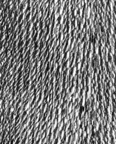 42-270 (click for large image)