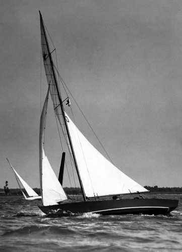 42-446 (click for large image)