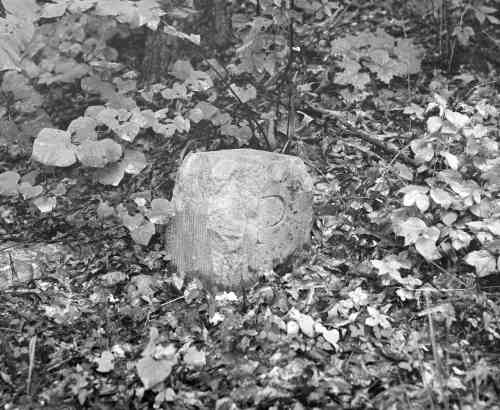 42-973 (click for large image)