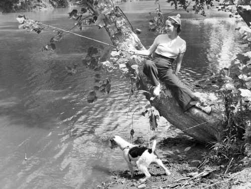 43-276 (click for large image)