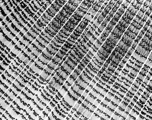 43-375 (click for large image)