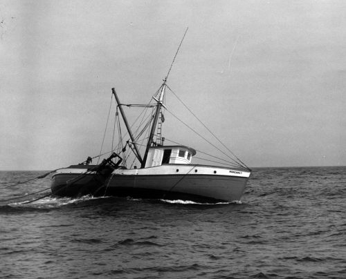 44-875 (click for large image)