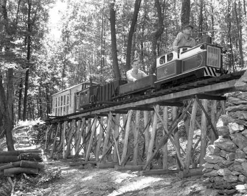 45-202 (click for large image)
