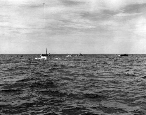 45-667 (click for large image)