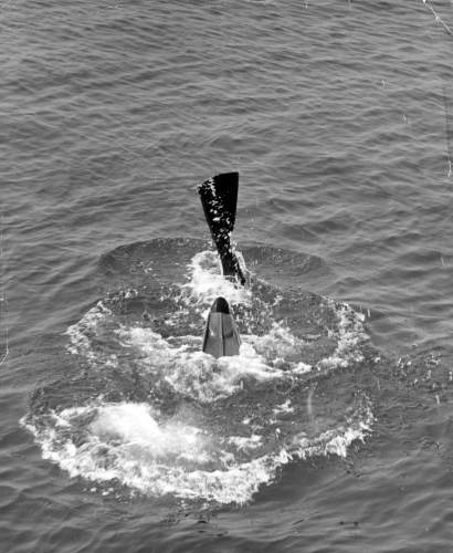46-777 (click for large image)