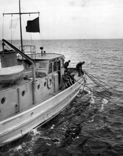 46-990 (click for large image)
