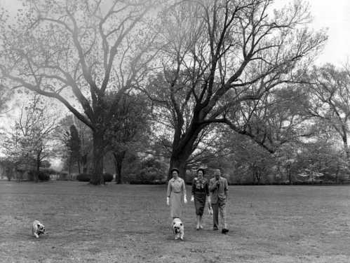 Click for larger image