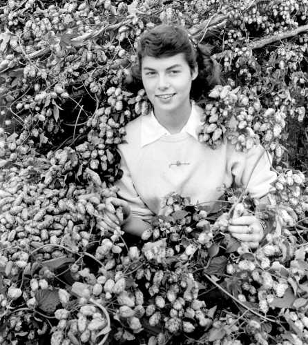 48-293 (click for large image)