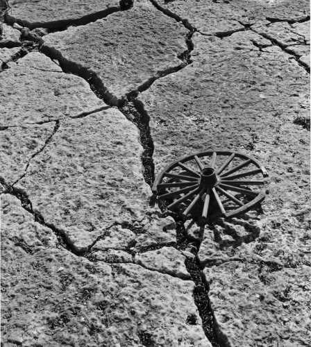 50-536 (click for large image)