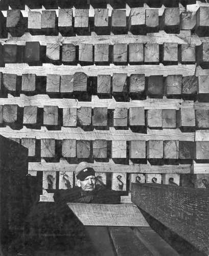 51-244 (click for large image)