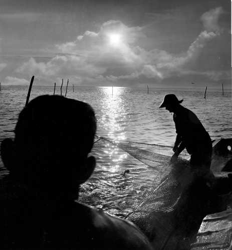 51-341 (click for large image)