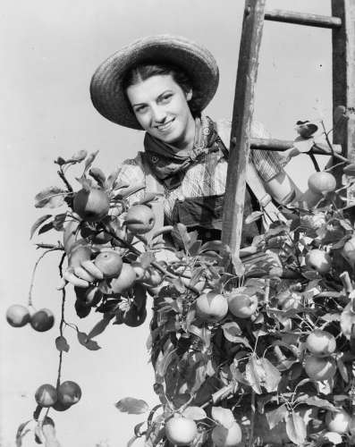 55-040 (click for large image)